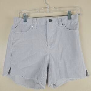 Aerie Grey Courdory Shorts Size XS